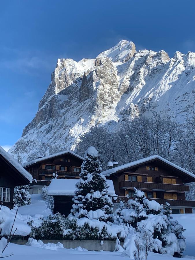 Chalet Sunneblick Grindelwald Exterior foto